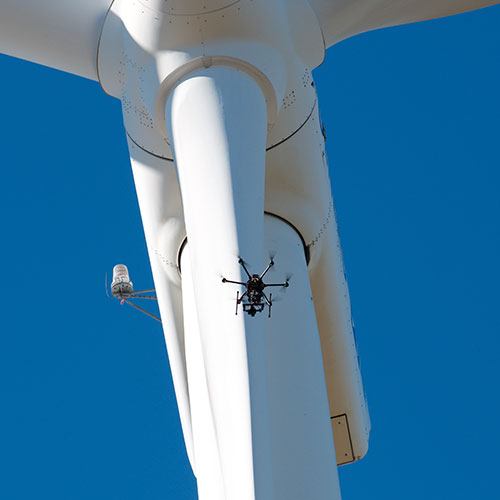 Aerial Survey